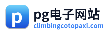 pg电子网站